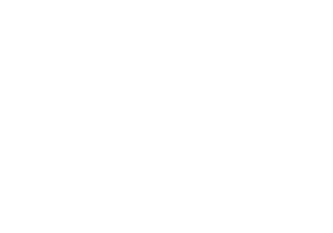 bisat, viral