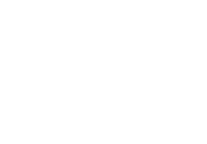 zkteco, viral