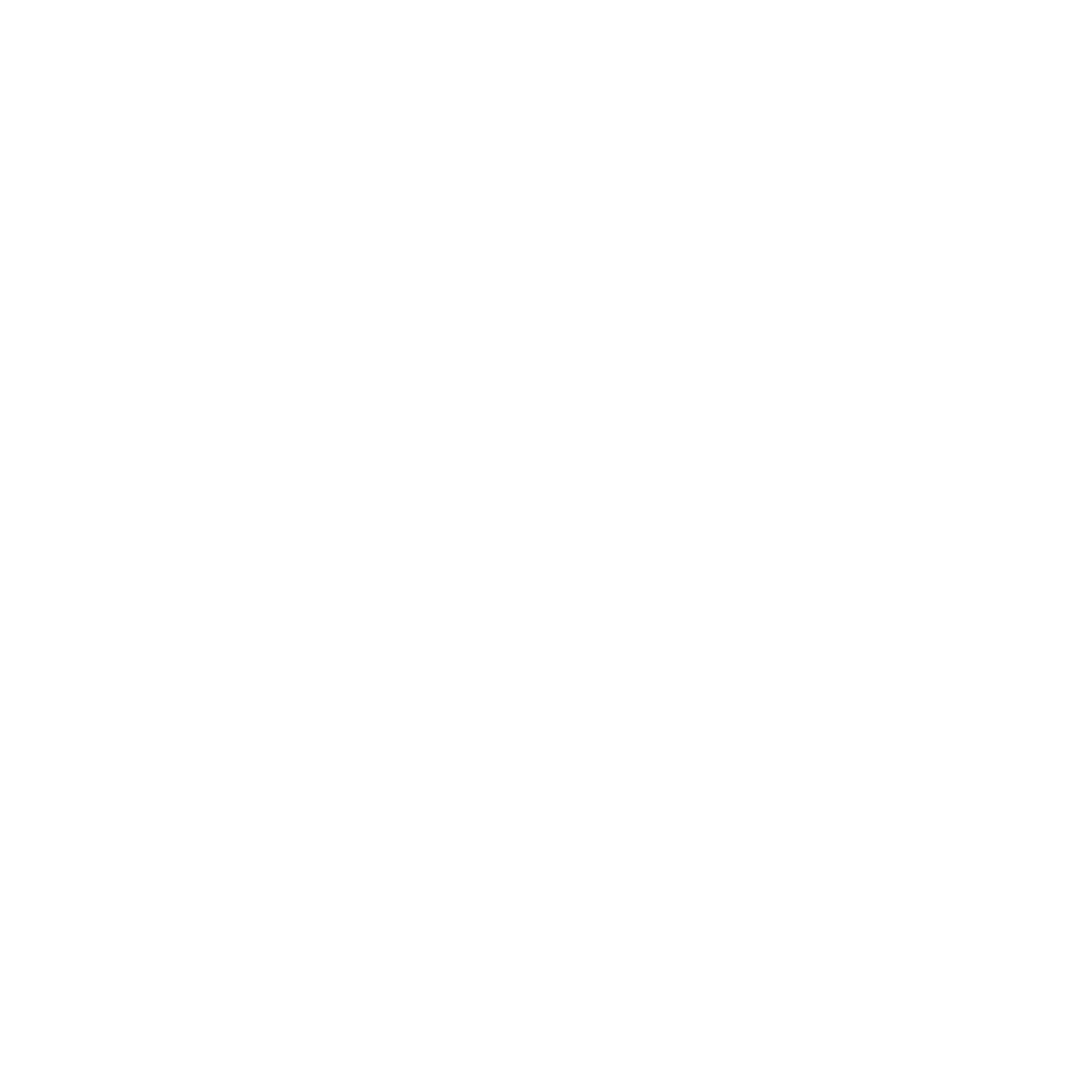Delta Electronic