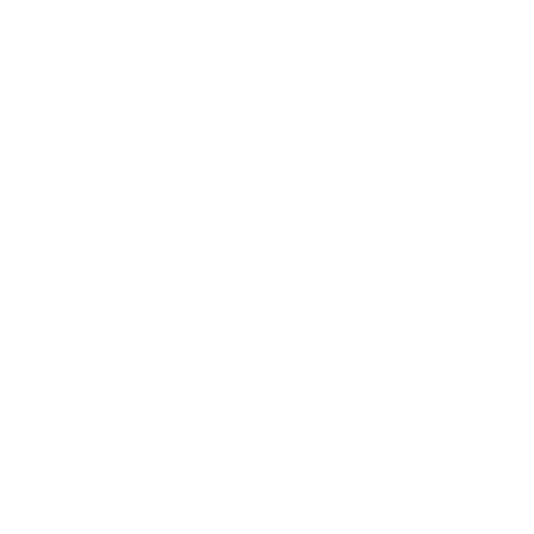 Logo icon Larichy hotel