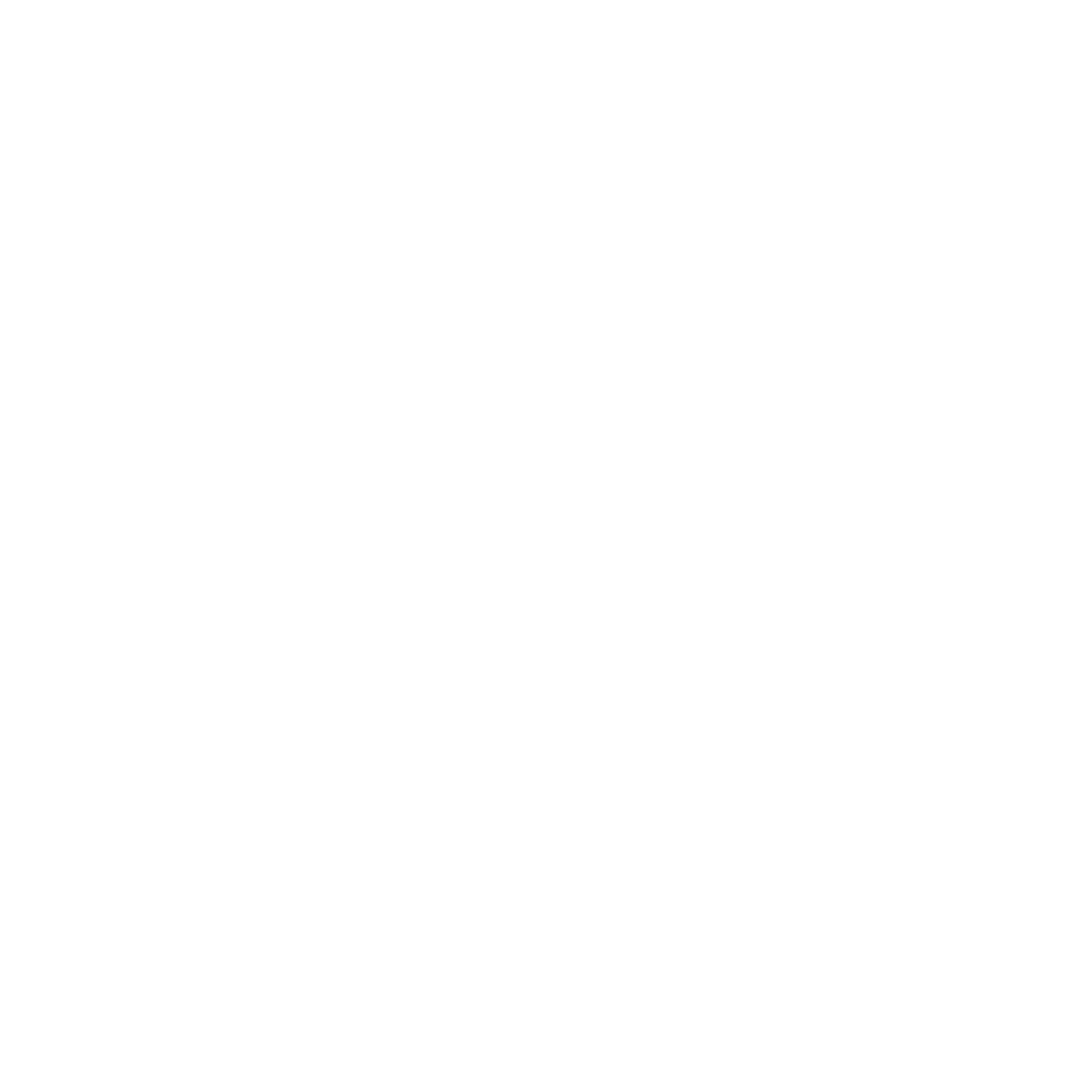 Logo icon Larichy