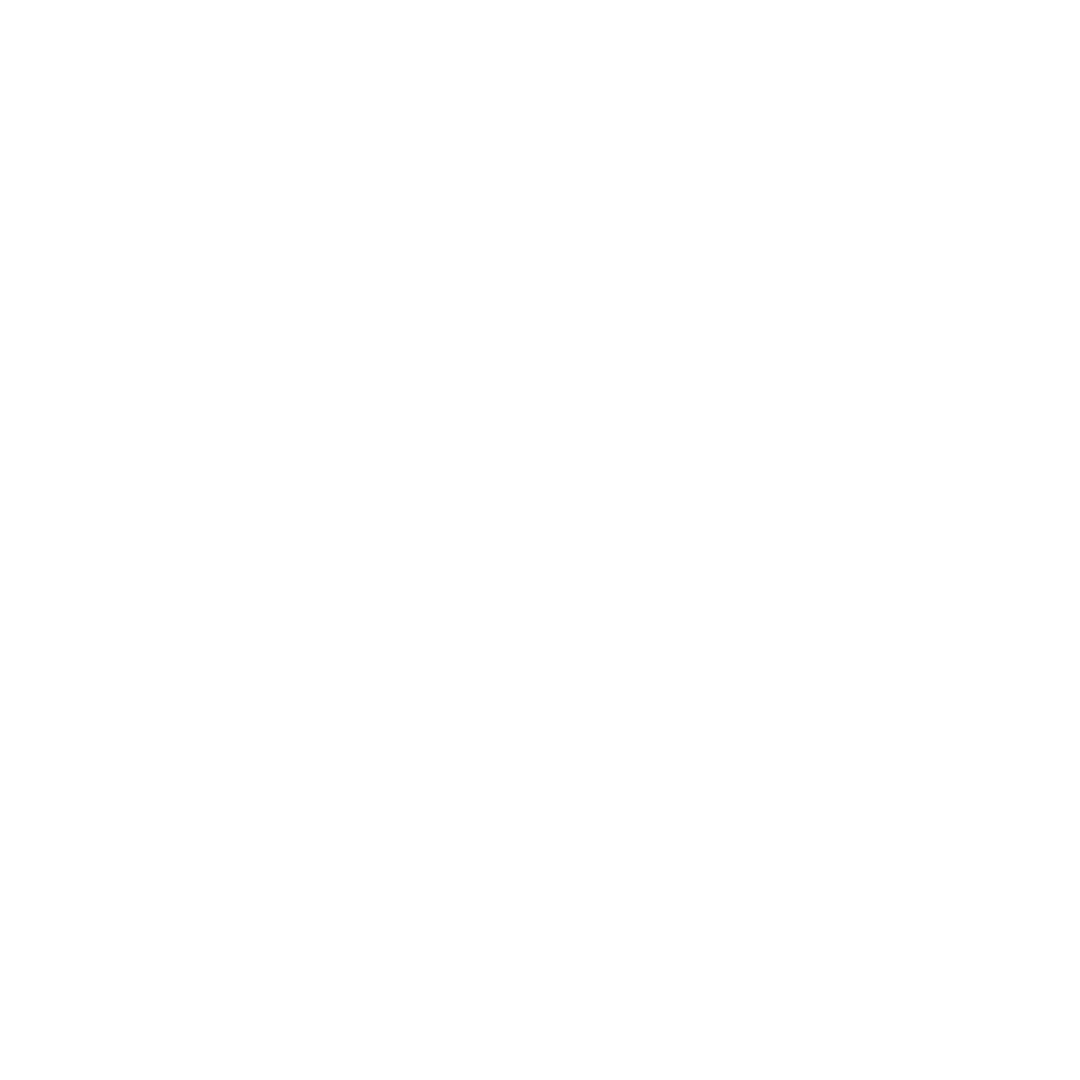 Logo icon nanomagic